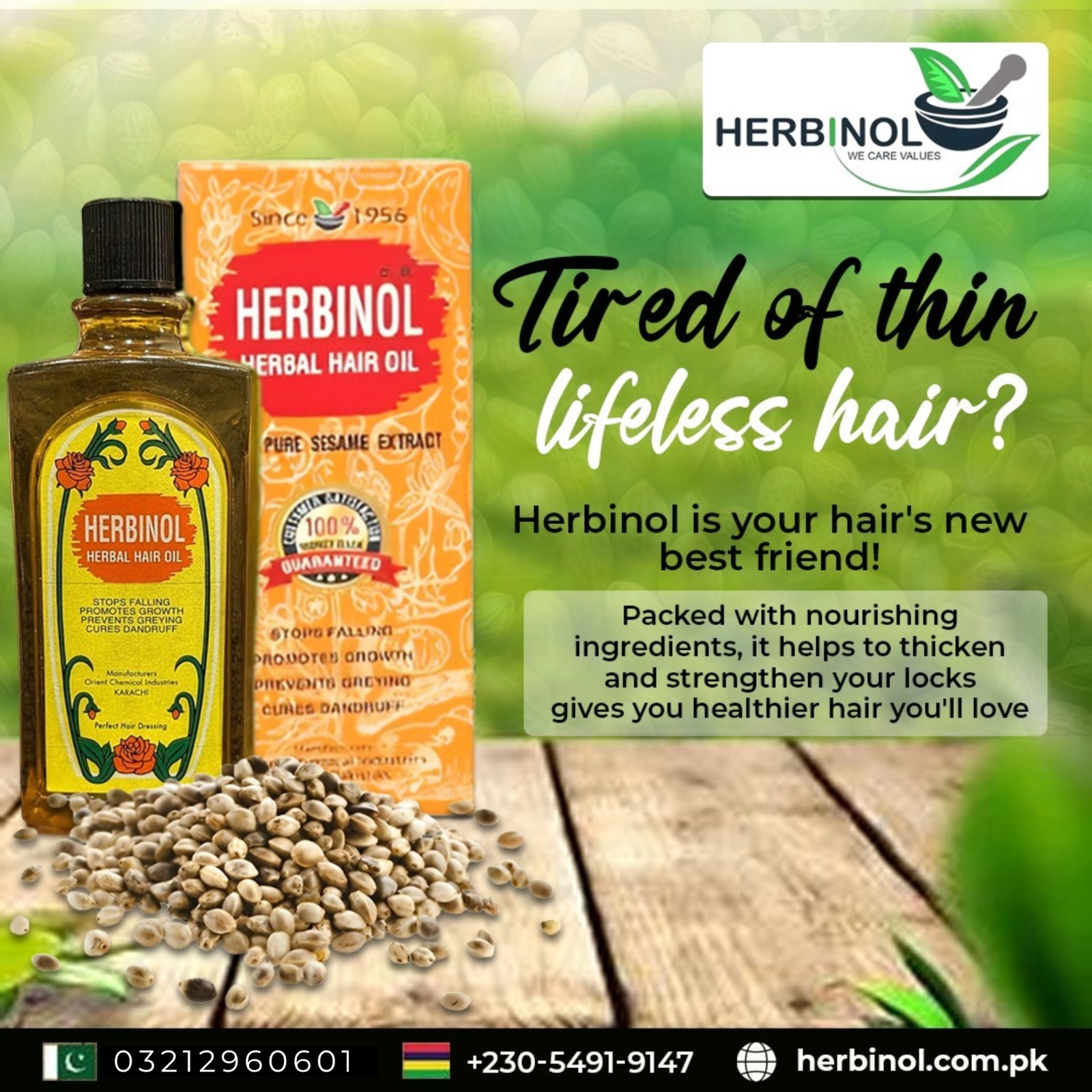 483841141_1173880037775602_7301765486276010851_n