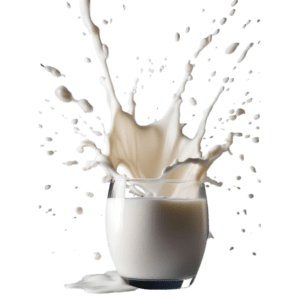 Milk for Kulfa