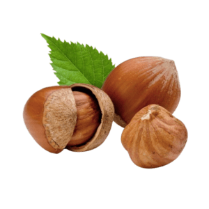 Hazelnut