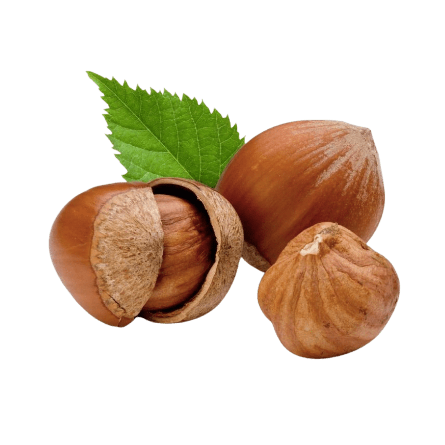 Hazelnut