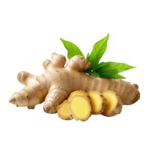Ginger