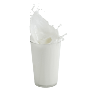 Fresh Milk