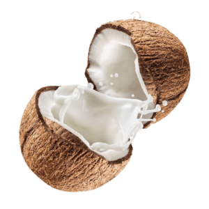 Coconut No. 1