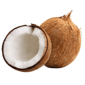 Coconut