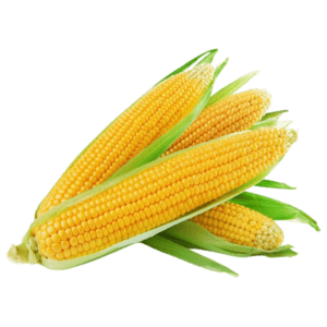 Corn - Sweetcorn
