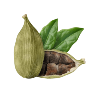 Cardamom
