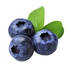 Blueberry