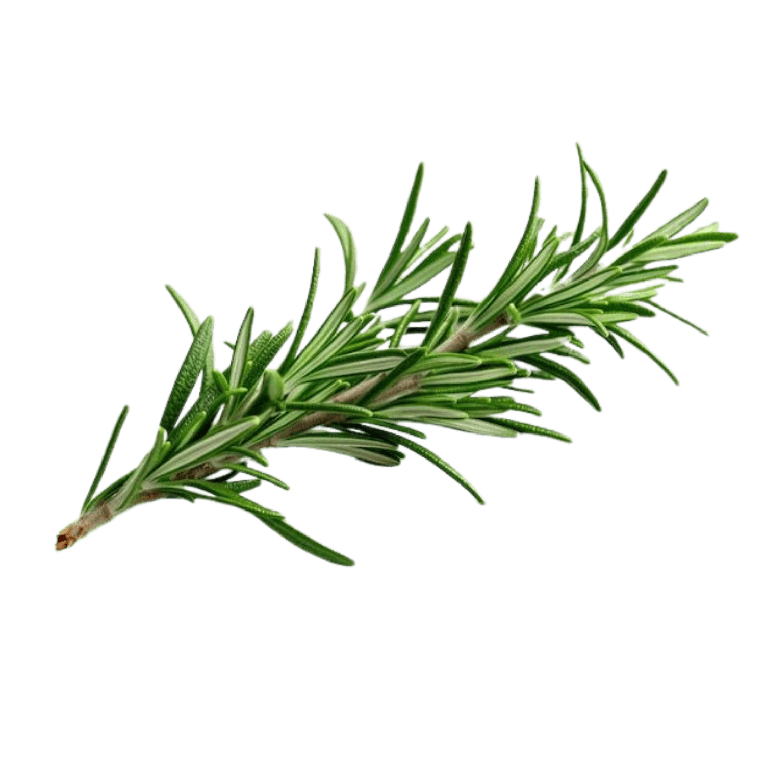 Yogurt & Herb