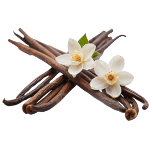 Vanilla
