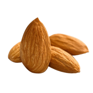 Sweet Almond no. 1
