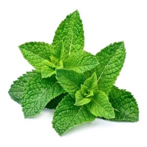 Spearmint
