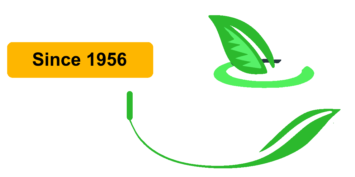 herbinol_transparent_text_blink
